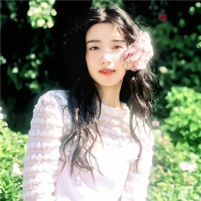 法网追击