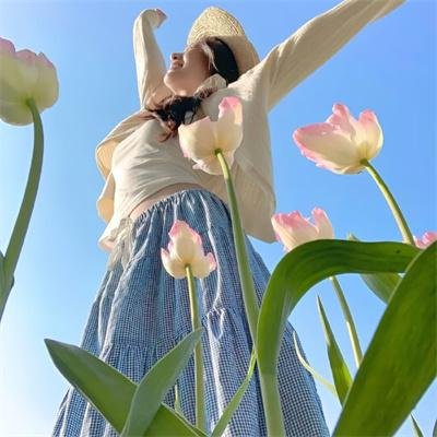 神鹰之拳